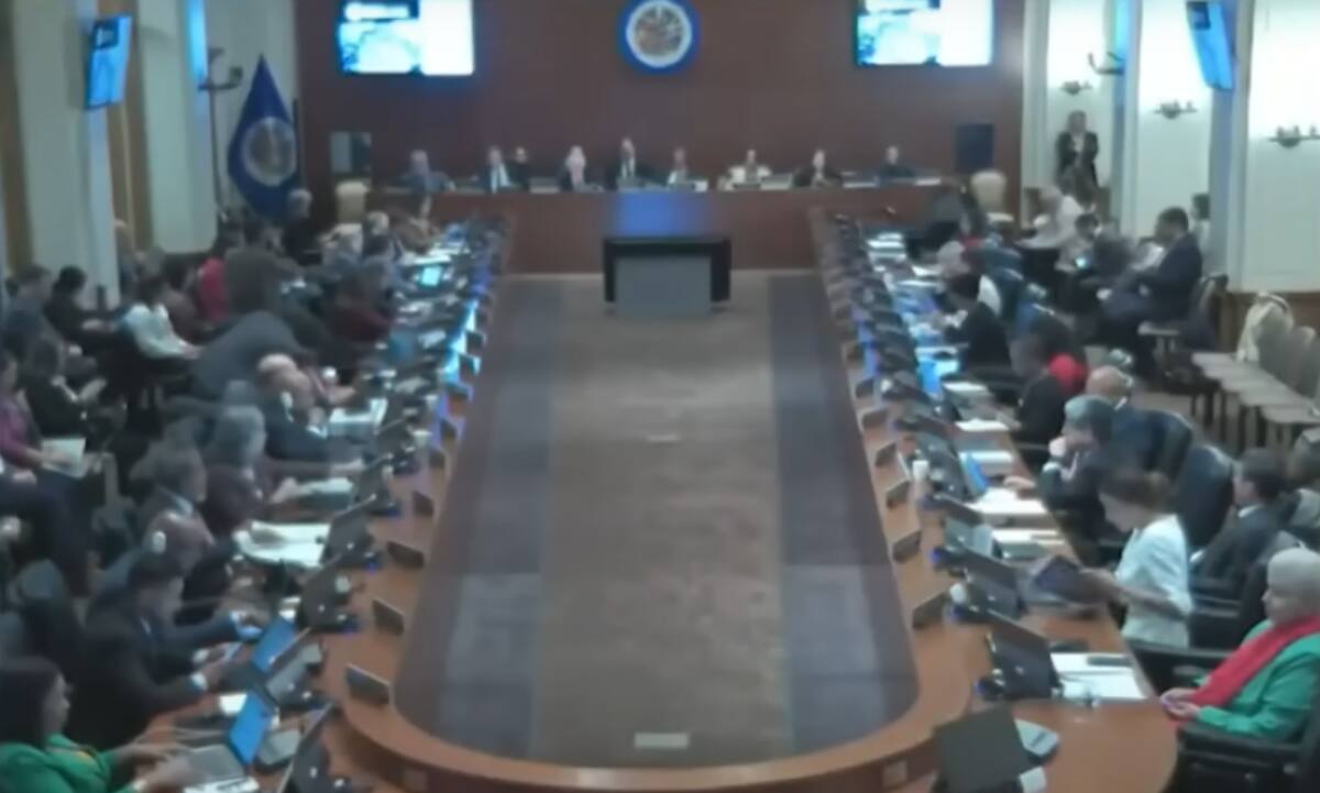 Junta de la OEA donde se presentaron las actas. / NTN24
