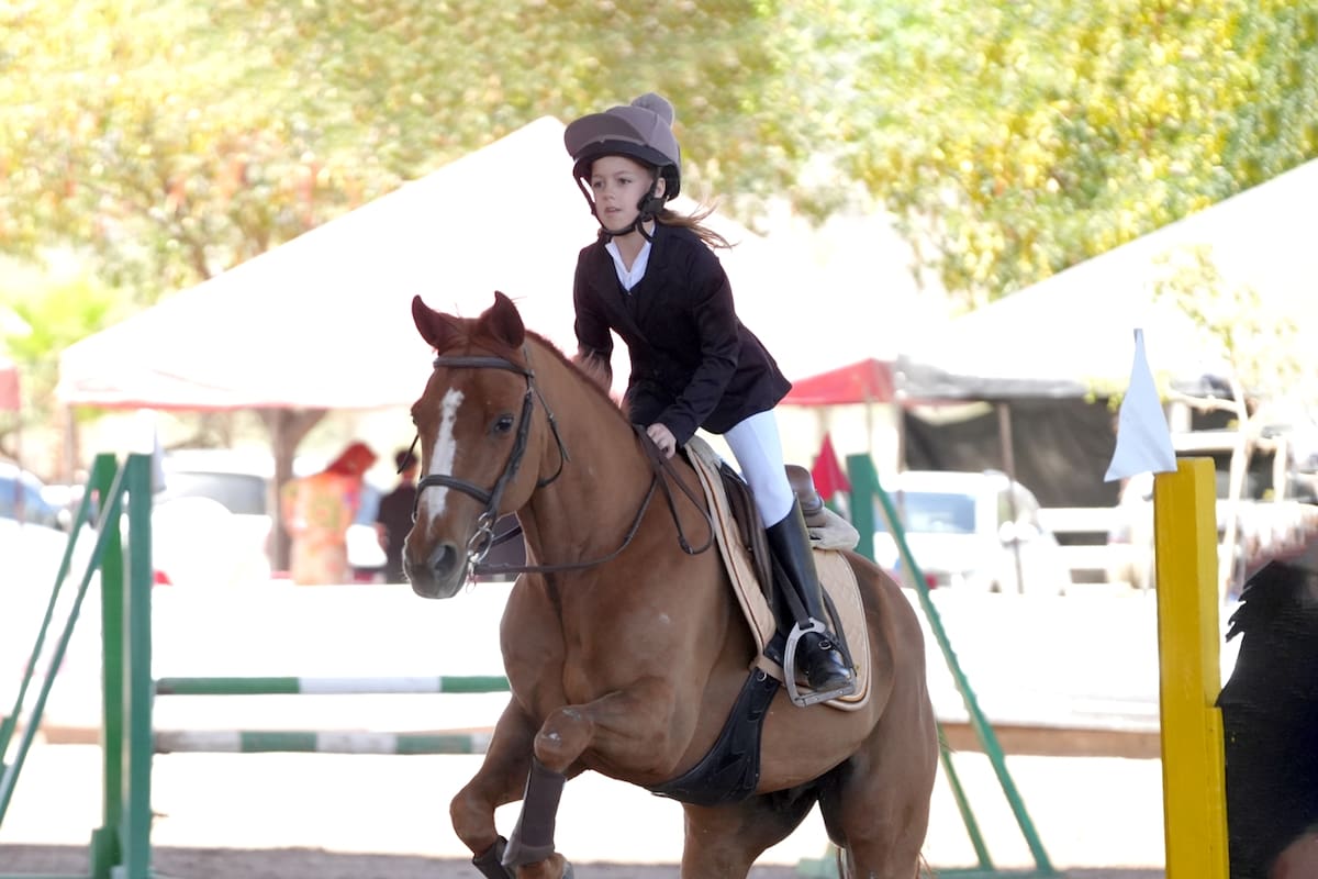 Competencia hípica: equitación, disciplina y emoción