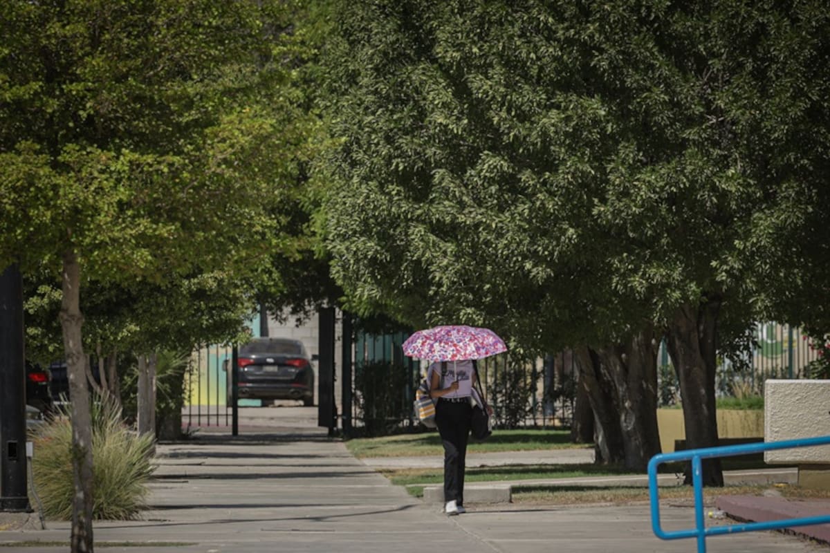 Temperaturas máximas de hasta 38 grados centígrados