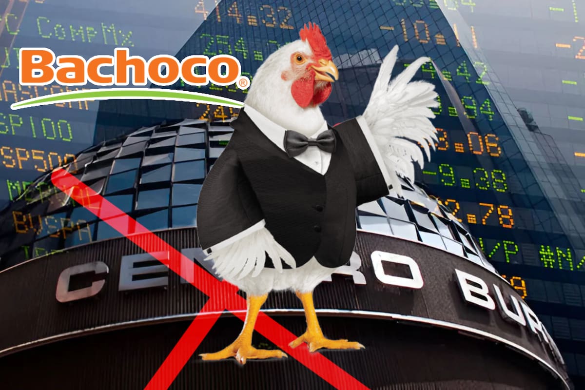 ¿Adiós Bachoco? La empresa famosa por sus huevos, pollos y publicidades alista su salida de la Bolsa Mexicana de Valores, ¿por qué?
