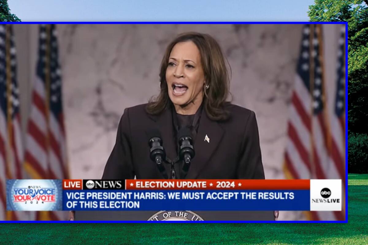 Kamala Harris concede victoria a Donald Trump, pero “no concederá la lucha por la libertad y dignidad para todos”