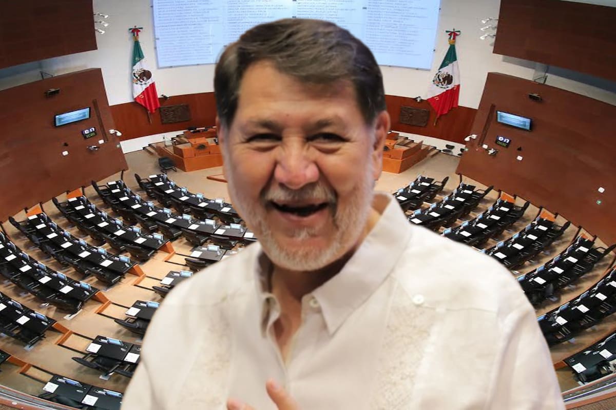 Noroña pedirá licencia del Senado por “tarea, necesaria e importante”; llama a no preocuparse si “lo golpean”