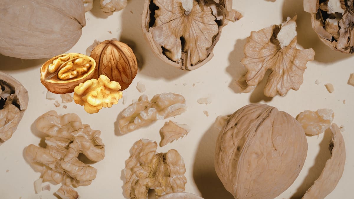 El proyecto transforma cáscara de nuez en carbón ecológico de alto rendimiento sin necesidad de tala de árboles.