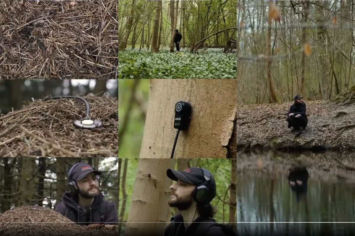 Hombre se viraliza en redes por grabar sonidos insólitos de la naturaleza con un micrófono especial
