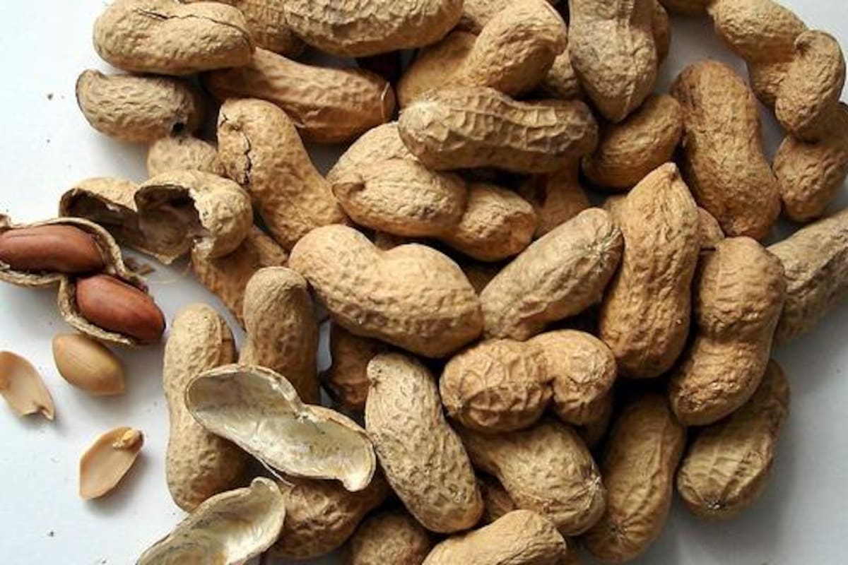 Piden apoyo pequeños agricultores para vender sus cacahuates