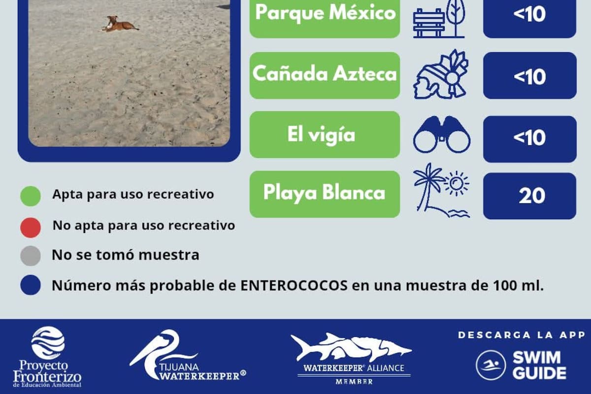 Playas de TJ están limpias: PFEA