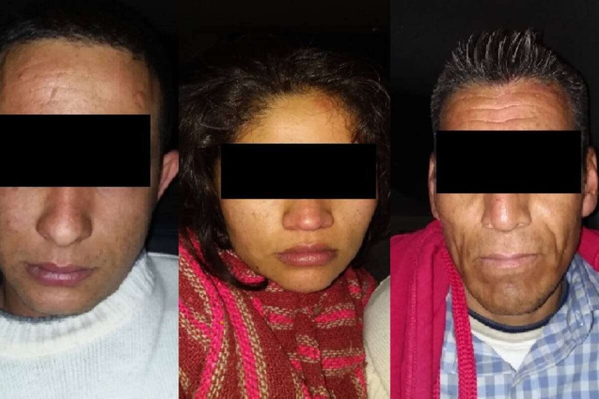 Catean domicilio en la colonia Santa Isabel, escondían vehículos robados