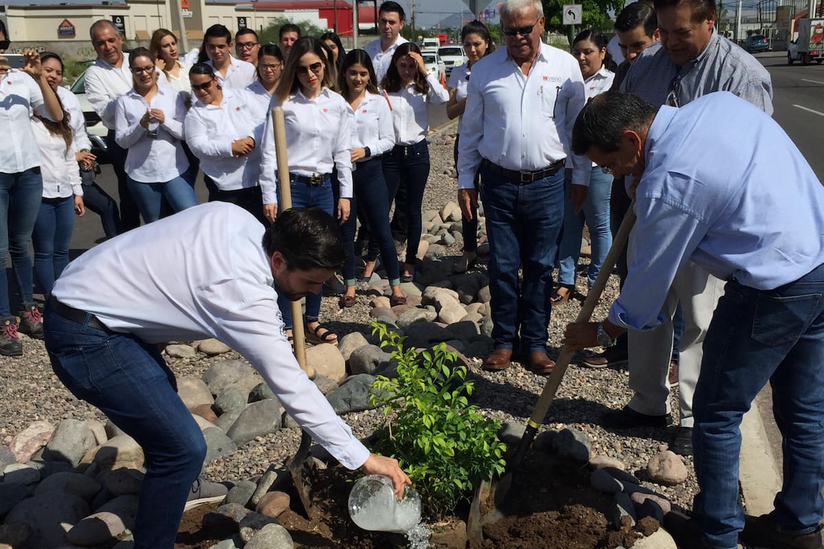 Se suman 131 empresas al programa Transforma un Bulevar en Hermosillo