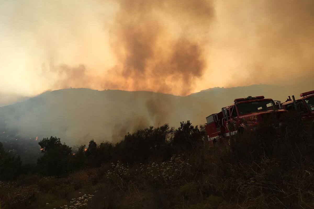 Incendio consume 450 hectáreas en Valle Redondo
