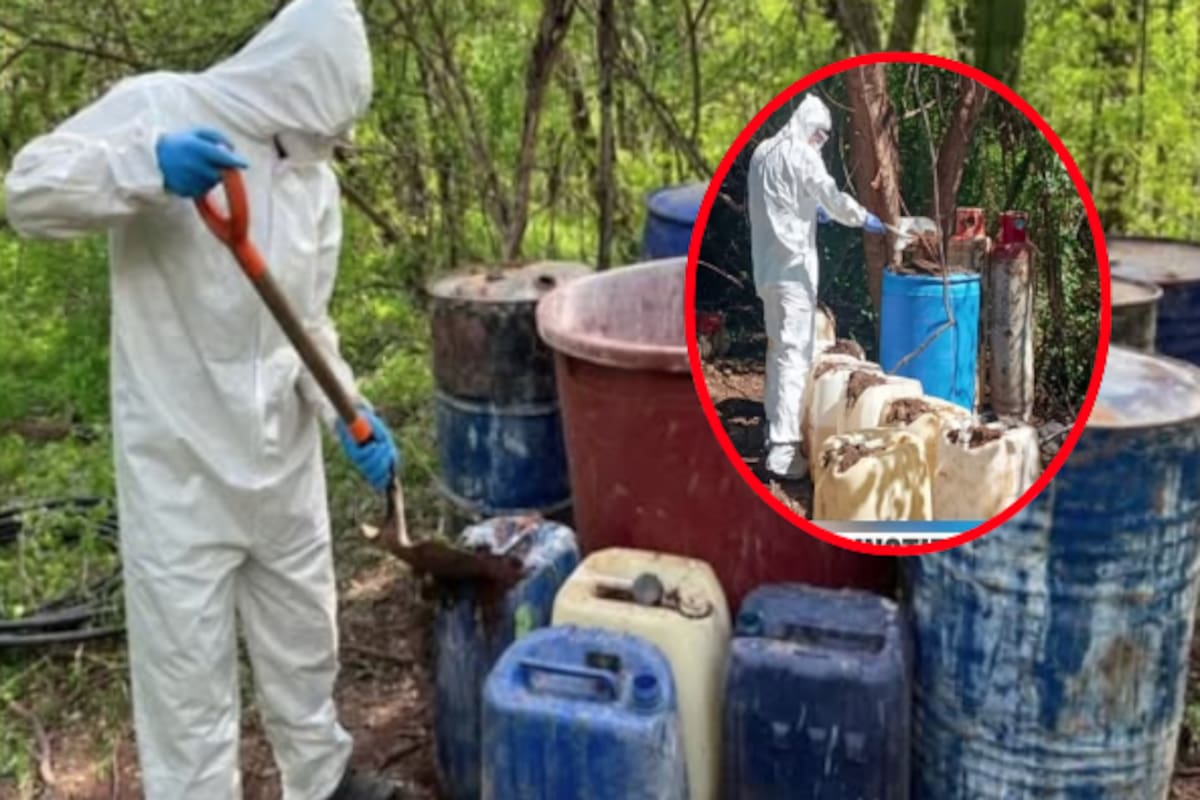 Autoridades destruyen cuatro centros clandestinos de drogas en Culiacán y Cosalá