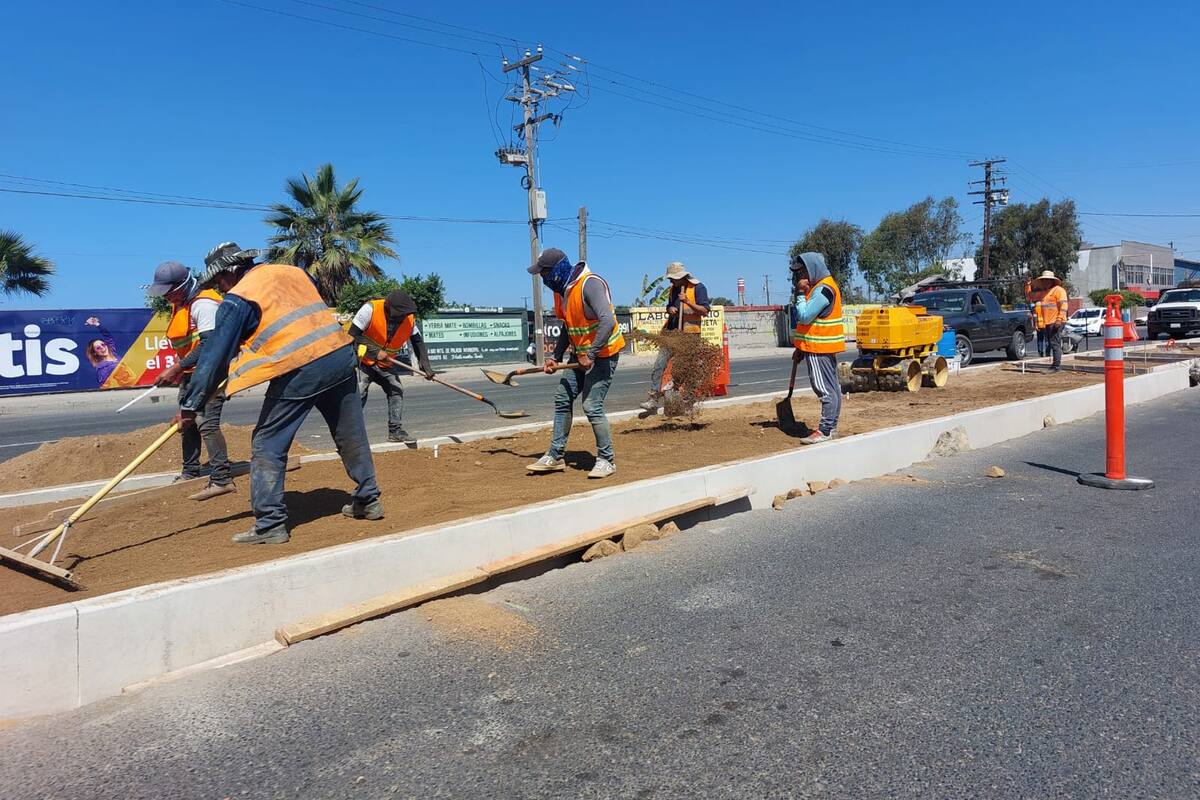 Presenta un avance de 40% obras en bulevar Benito Juárez de Rosarito