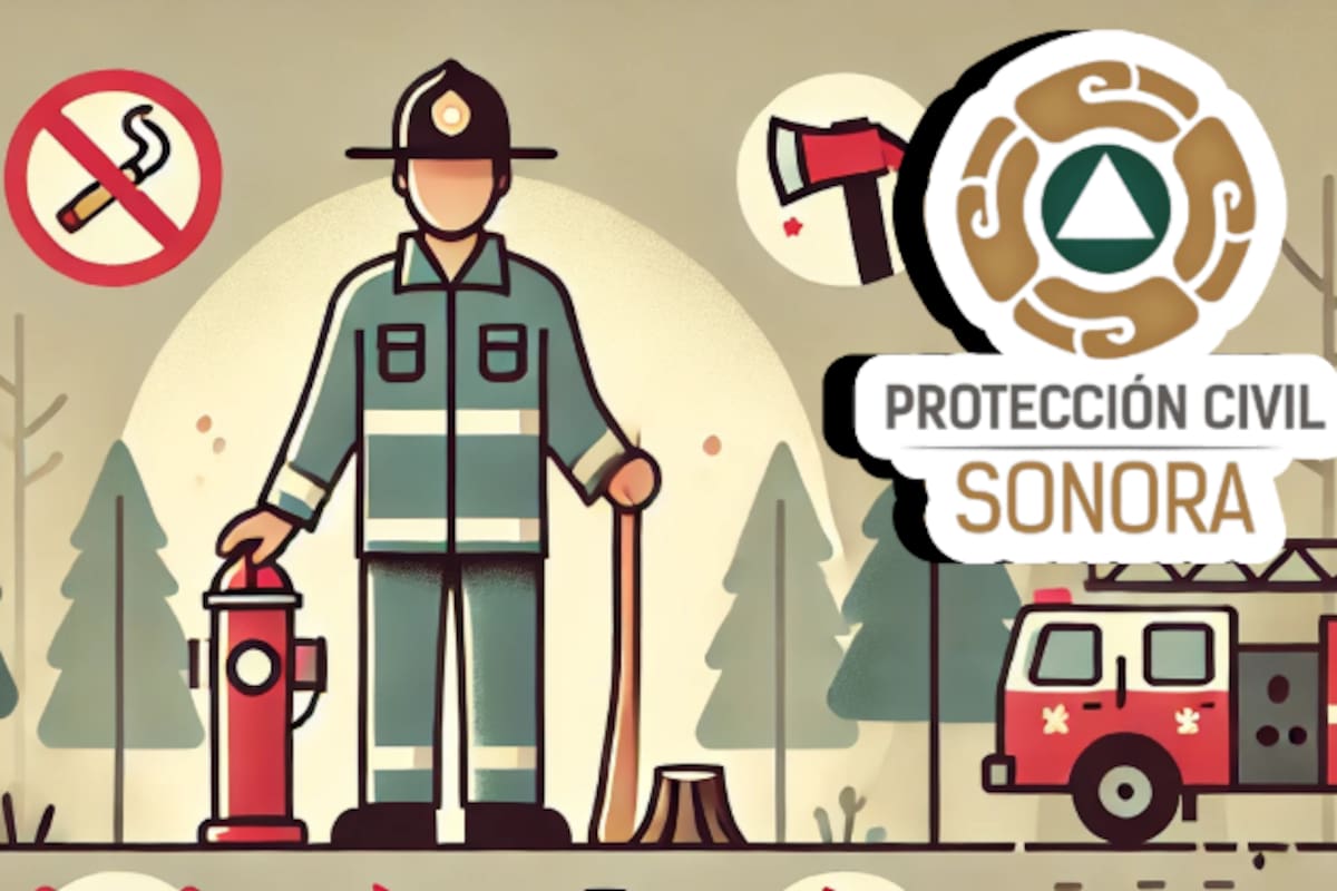 Prevención de incendios forestales en Sonora: medidas clave para proteger el medio ambiente