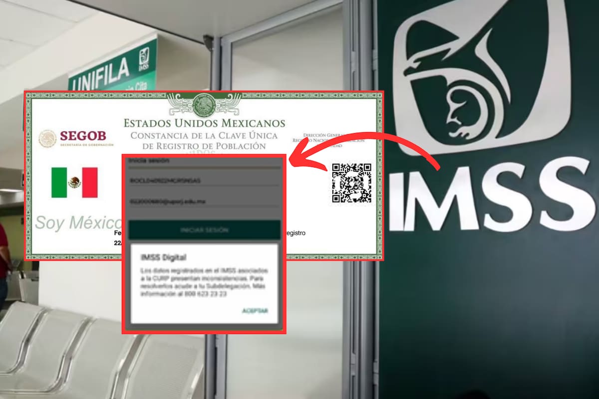 IMSS advierte sobre inconsistencias en la CURP al tramitar el NSS: ¿Qué hacer?