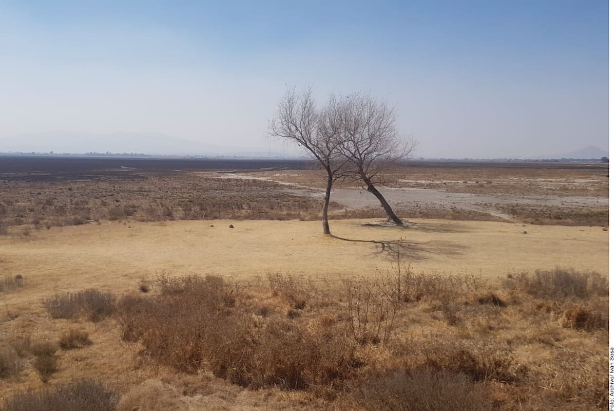 Aumenta la sequía en Sonora: los 72 municipios tienen problemas