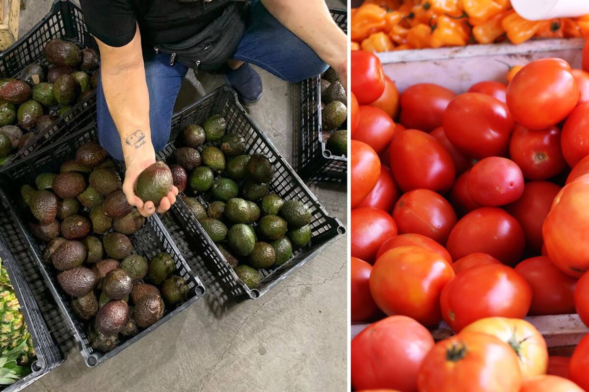 Aguacate y tomate registran la inflación más alta de los alimentos en Sonora