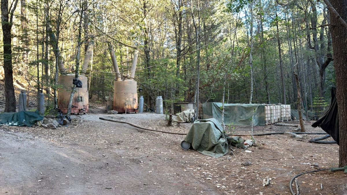 Localizan dos laboratorios de metanfetamina en la sierra, entre Morelos y Guachochi. | Fiscalía General del Estado de Chihuahua.