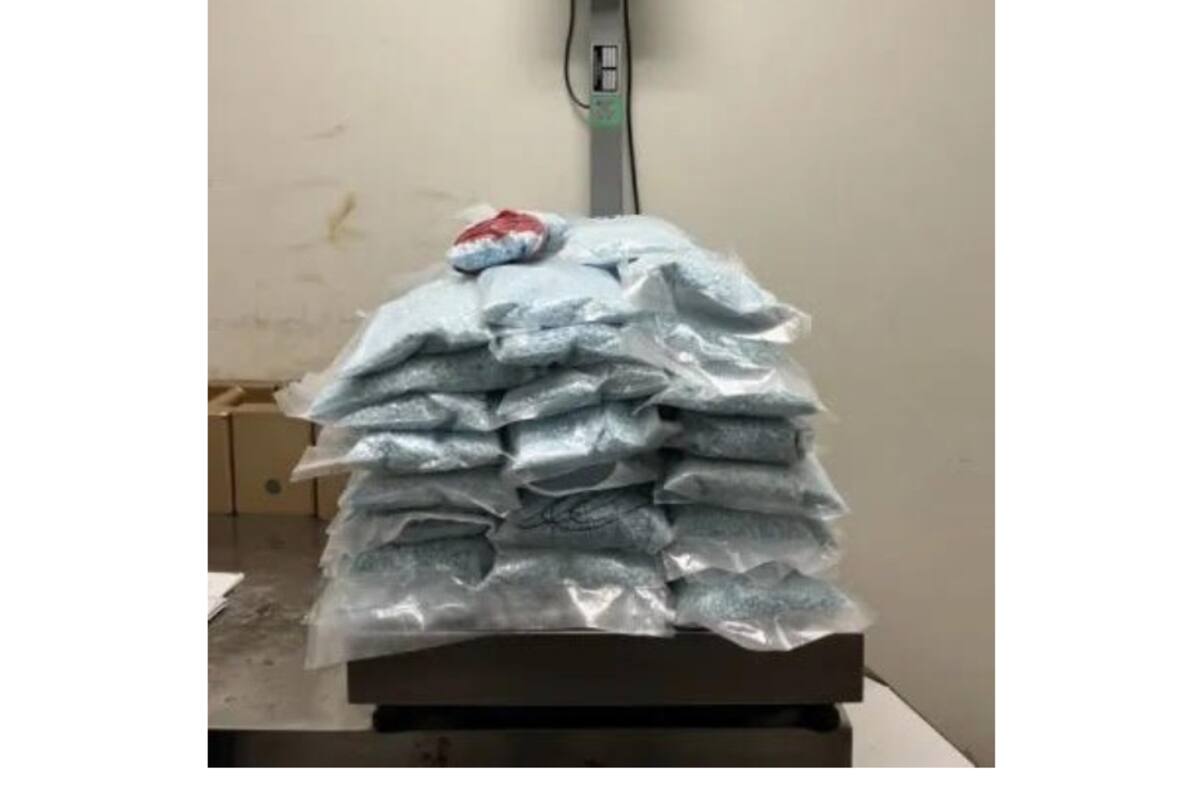Interceptan más de 55 kilos de fentanilo azul en Calexico
