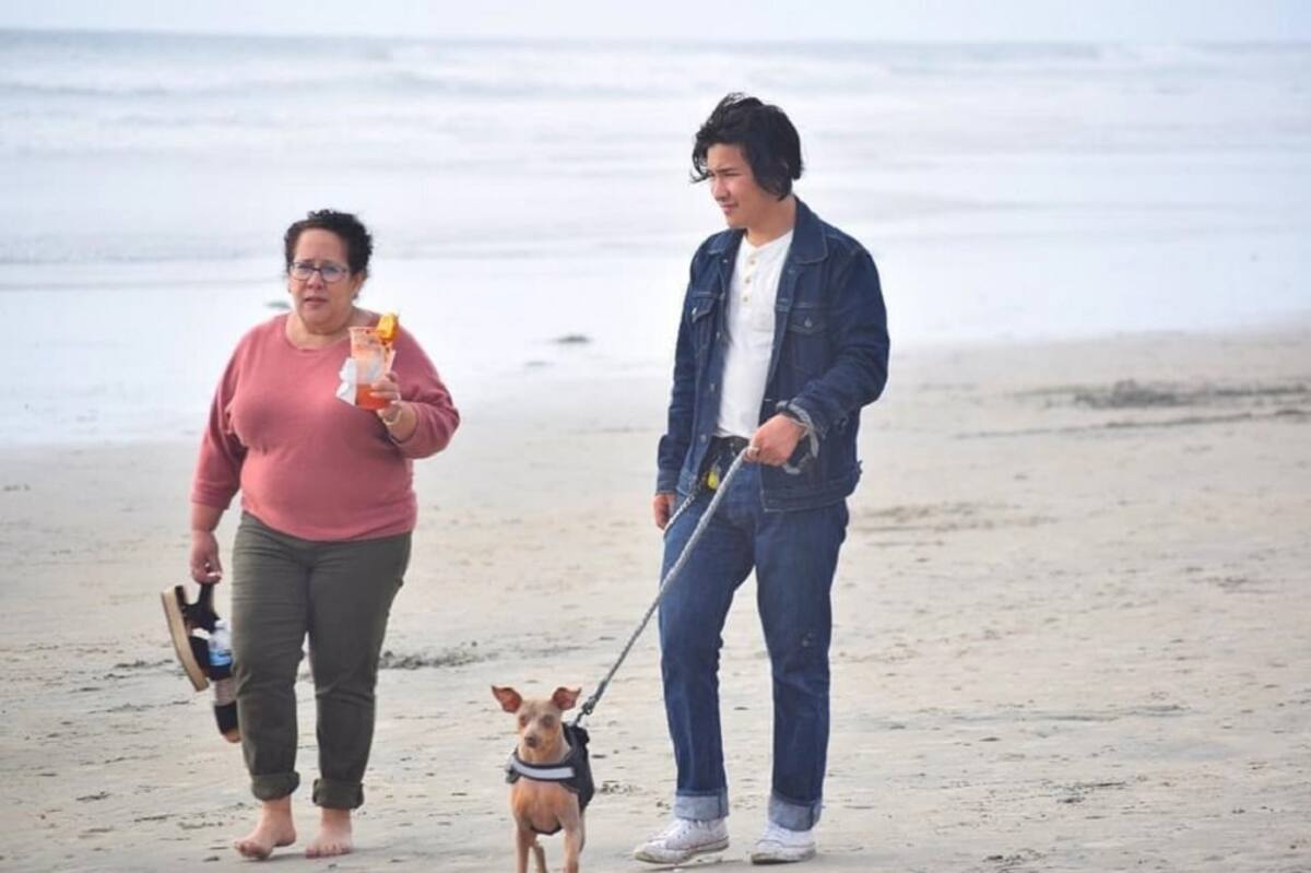 Las playas aptas para la recreación en Playas de Rosarito, son las que se encuentran frente al Hotel Riviera y en la zona conocida como Comercial Mexicana.