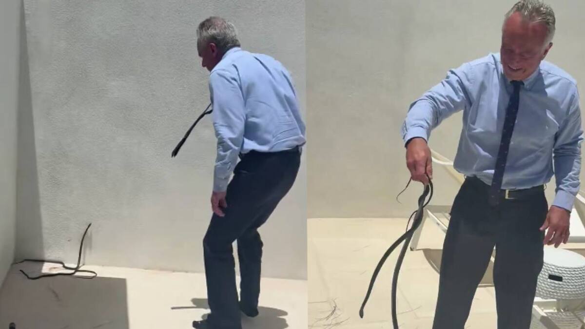 VIDEO polémico de Robert F. Kennedy Jr agarrando a dos serpientes que entraron a la casa del famoso Dr. Oz, provoca que autoridades adviertan a no imitarlo