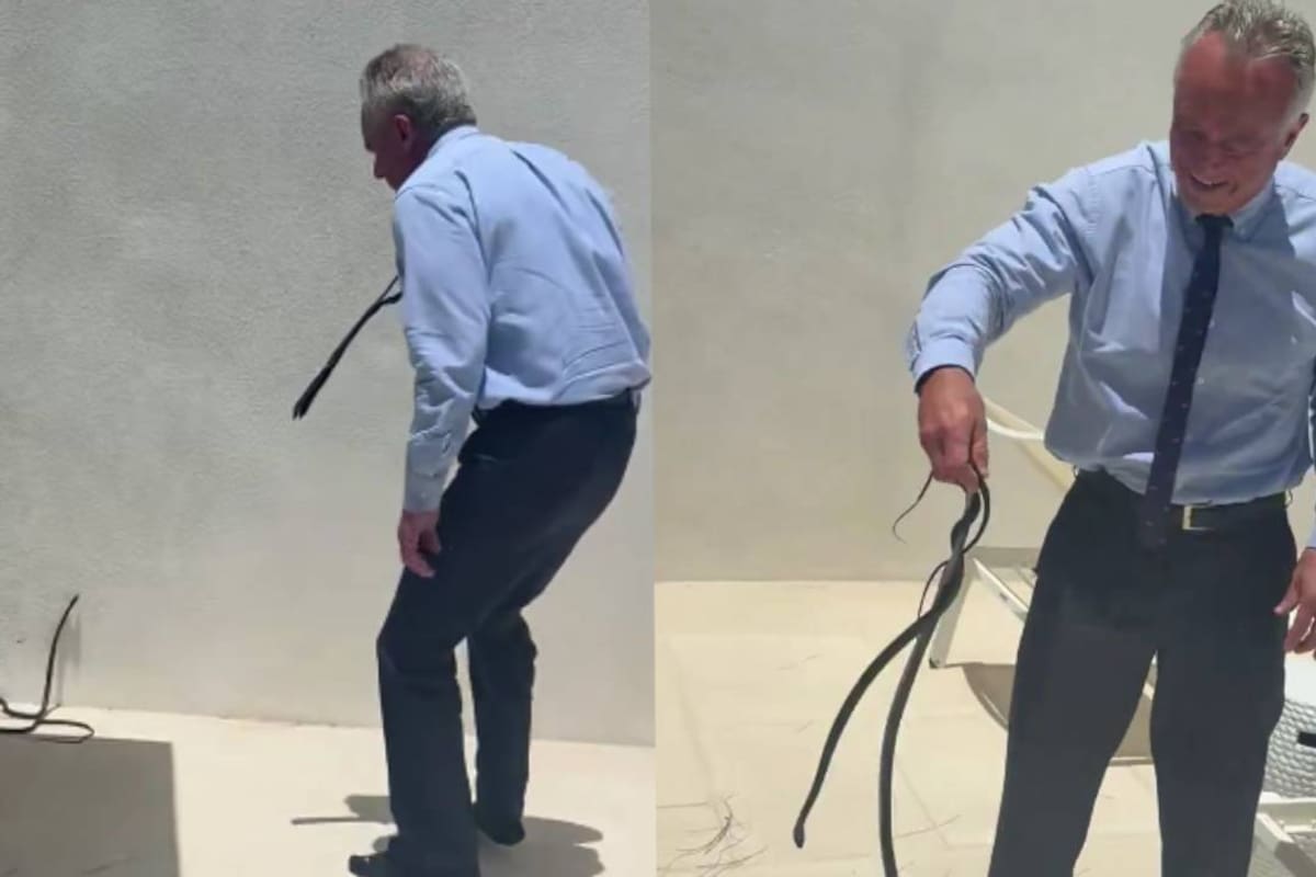 VIDEO polémico de Robert F. Kennedy Jr agarrando a dos serpientes que entraron a la casa del famoso Dr. Oz, provoca que autoridades adviertan a no imitarlo