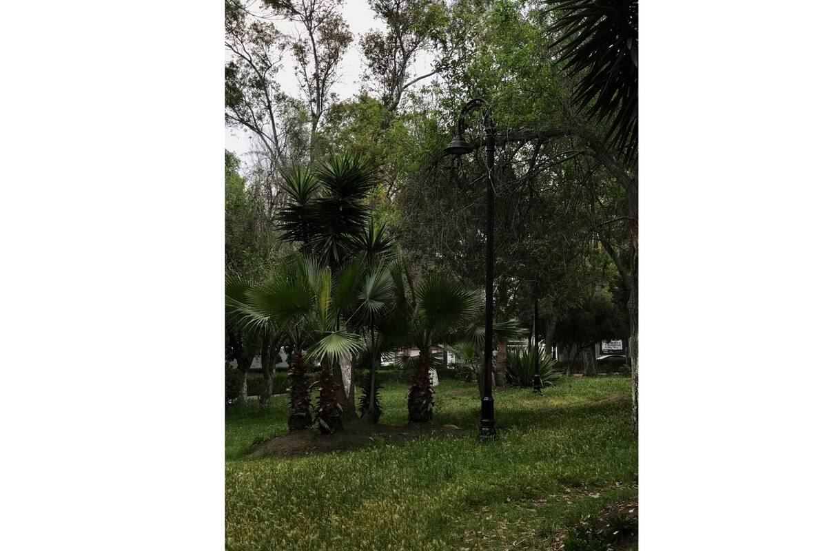 Piden vecinos rescatar Parque Las Américas en Tijuana
