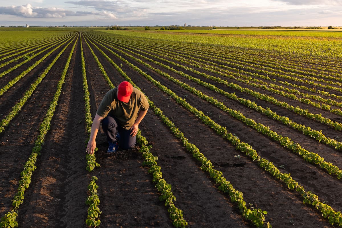 Sonora, potencia agroexportadora