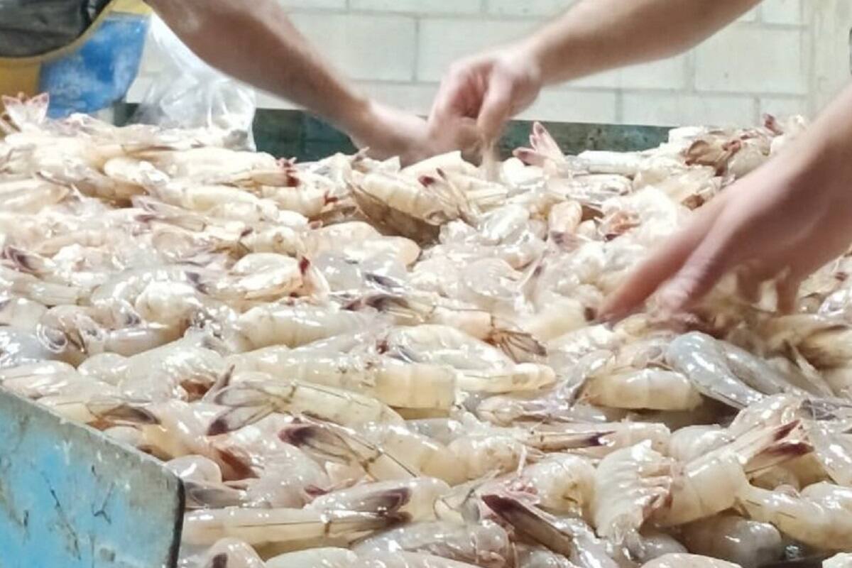 Tras la retirada de camarones del mercado, la FDA también detecta contaminación radiactiva en especias
