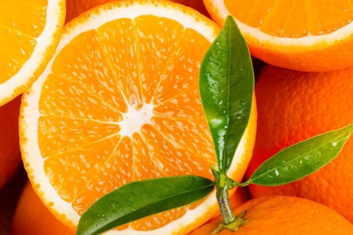 Así puedes hacer tu propia crema para eliminar la celulitis