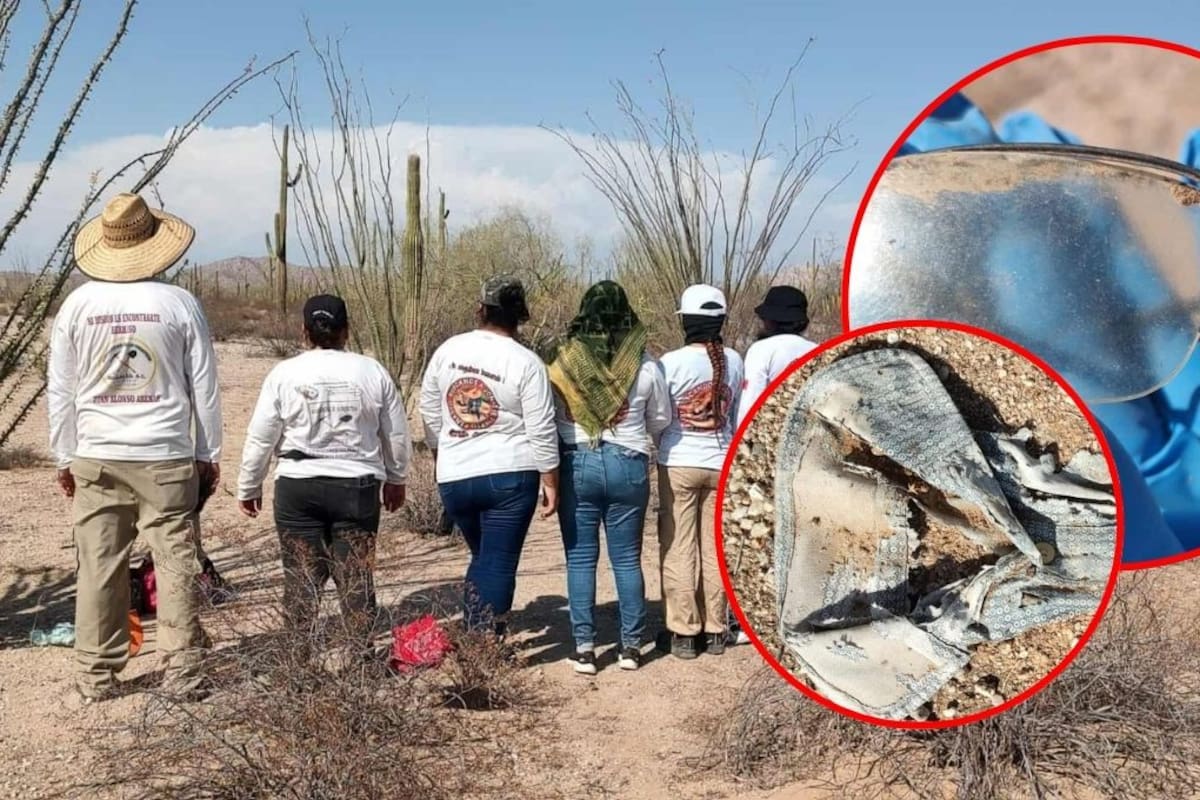 Colectivos localizan 2 osamentas en Altar