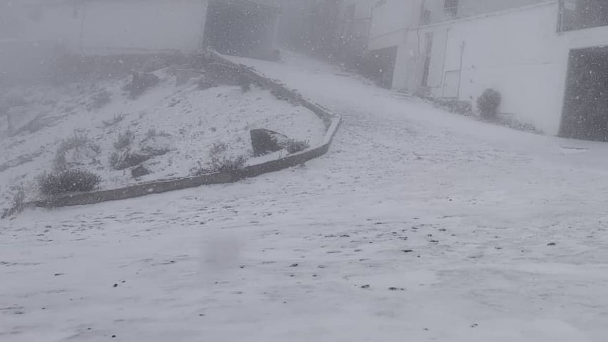 Cofre de Perote en Veracruz registra su primera nevada; pronostican lluvias fuertes y vientos intensos