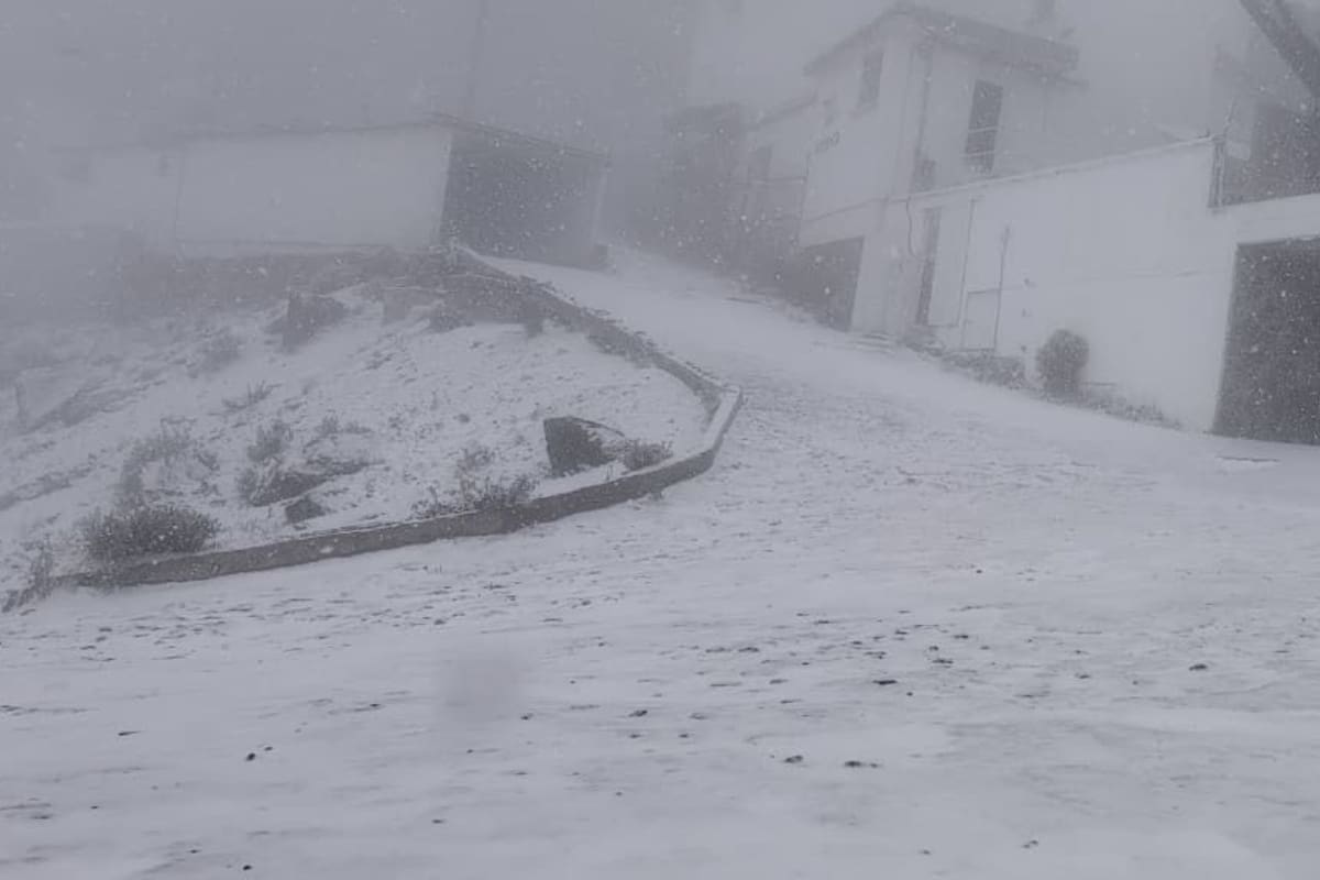 Cofre de Perote en Veracruz registra su primera nevada; pronostican lluvias fuertes y vientos intensos