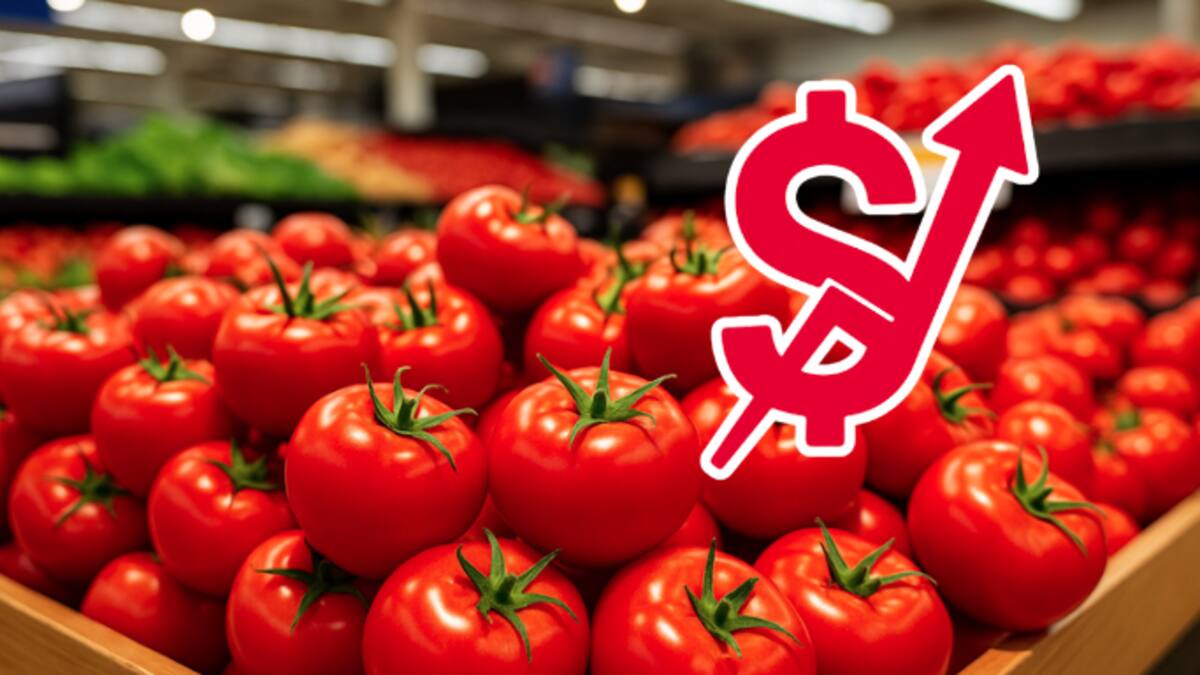 ¡Alerta en supermercados! Tomates podrían subir hasta 17% en Estados Unidos por fin de acuerdo con México