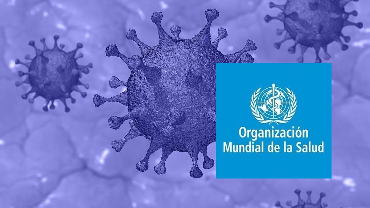 OMS reporta 19 casos y cuatro muertes por MERS-CoV en 2025; Arabia Saudí concentra los contagios