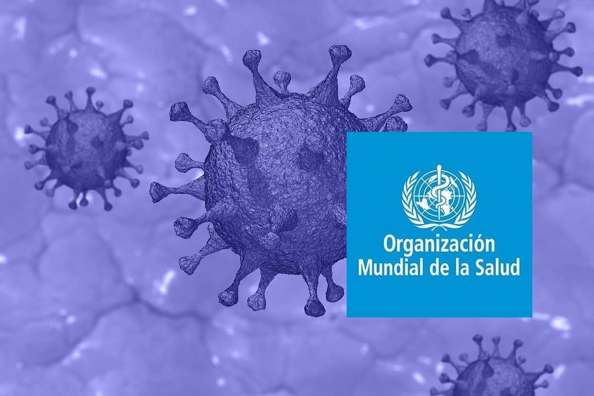 OMS reporta 19 casos y cuatro muertes por MERS-CoV en 2025; Arabia Saudí concentra los contagios