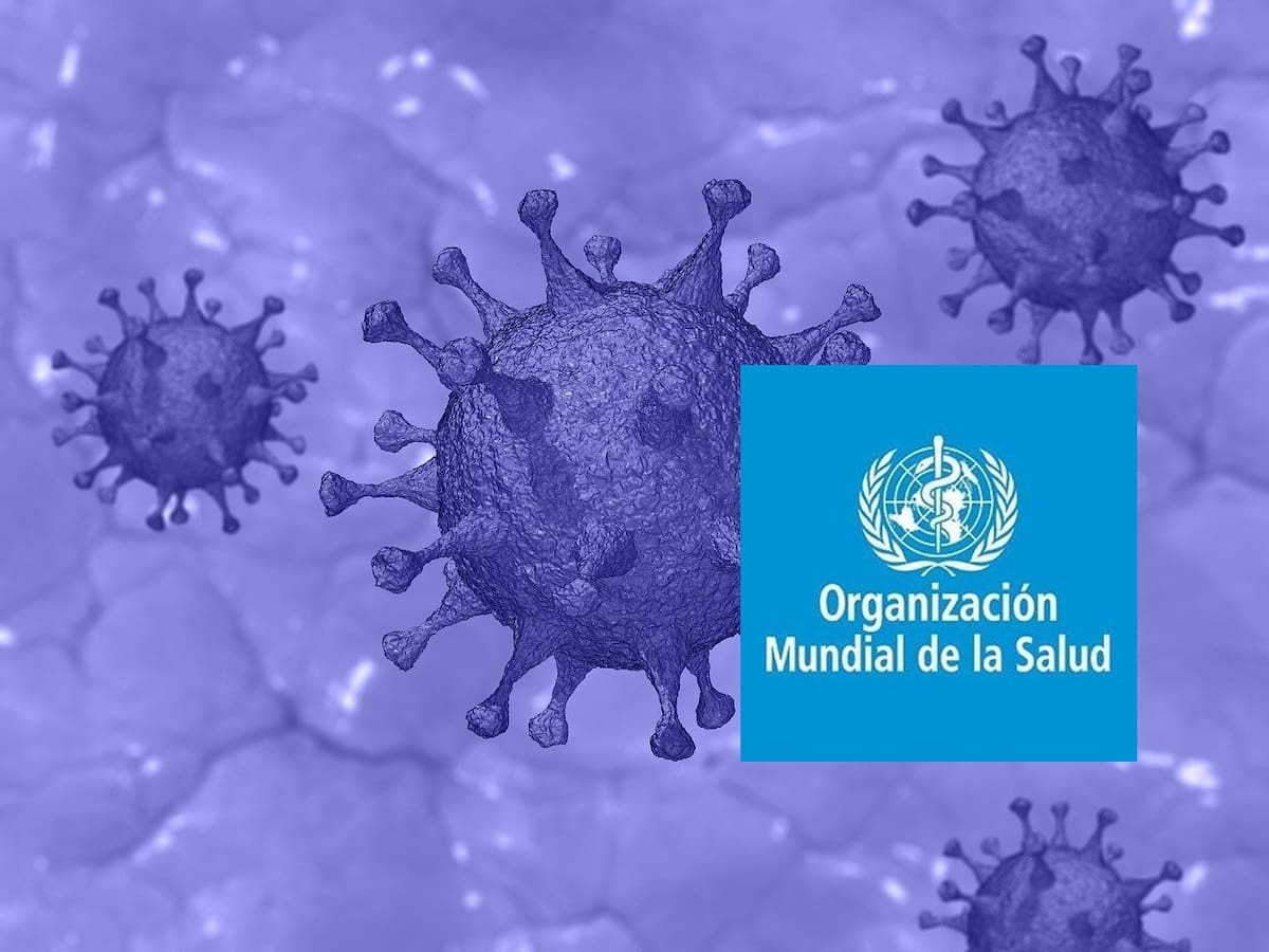 La OMS ha insistido en la importancia de una vigilancia epidemiológica constante y de una respuesta sanitaria oportuna. FOTO: ESPECIAL