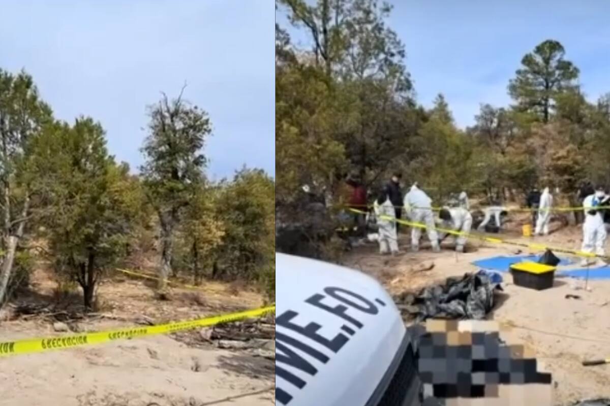 Localizan 72 cuerpos en fosas clandestinas en Chihuahua