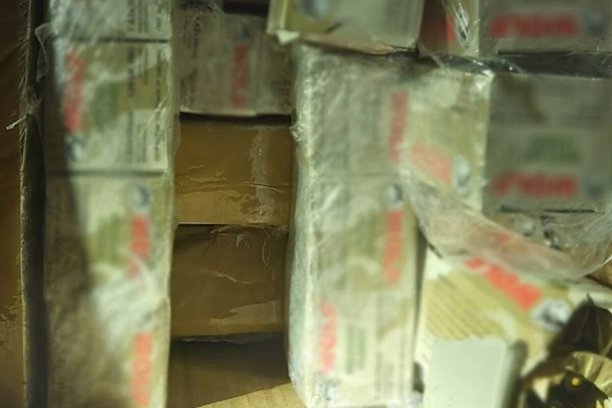 Perros hallan más de mil cartuchos útiles en empresa de mensajería en Sonora