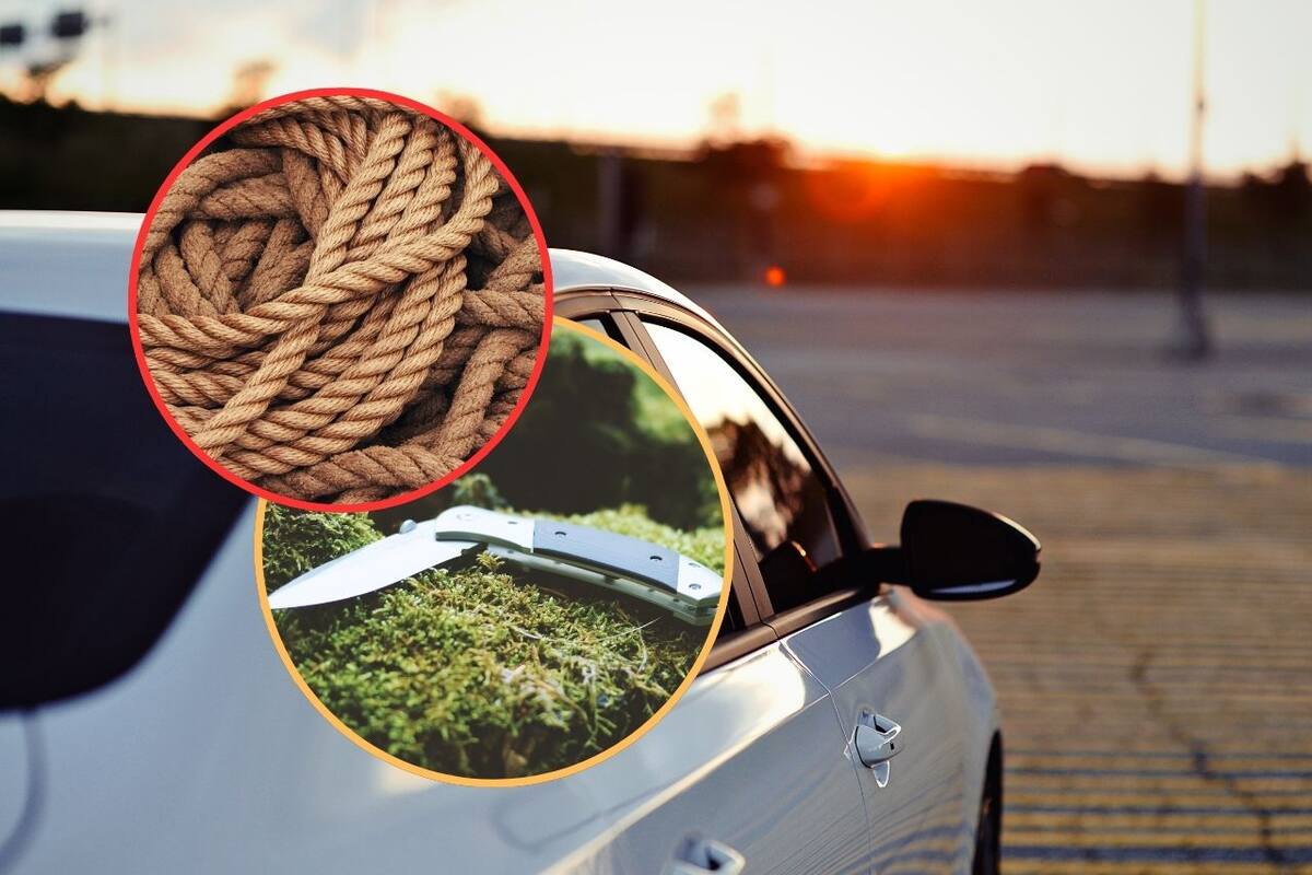 Detienen a sujeto por agresión a su pareja y posesión de objetos peligrosos en la CDMX; mujer gritó por ayuda desde el interior del vehículo