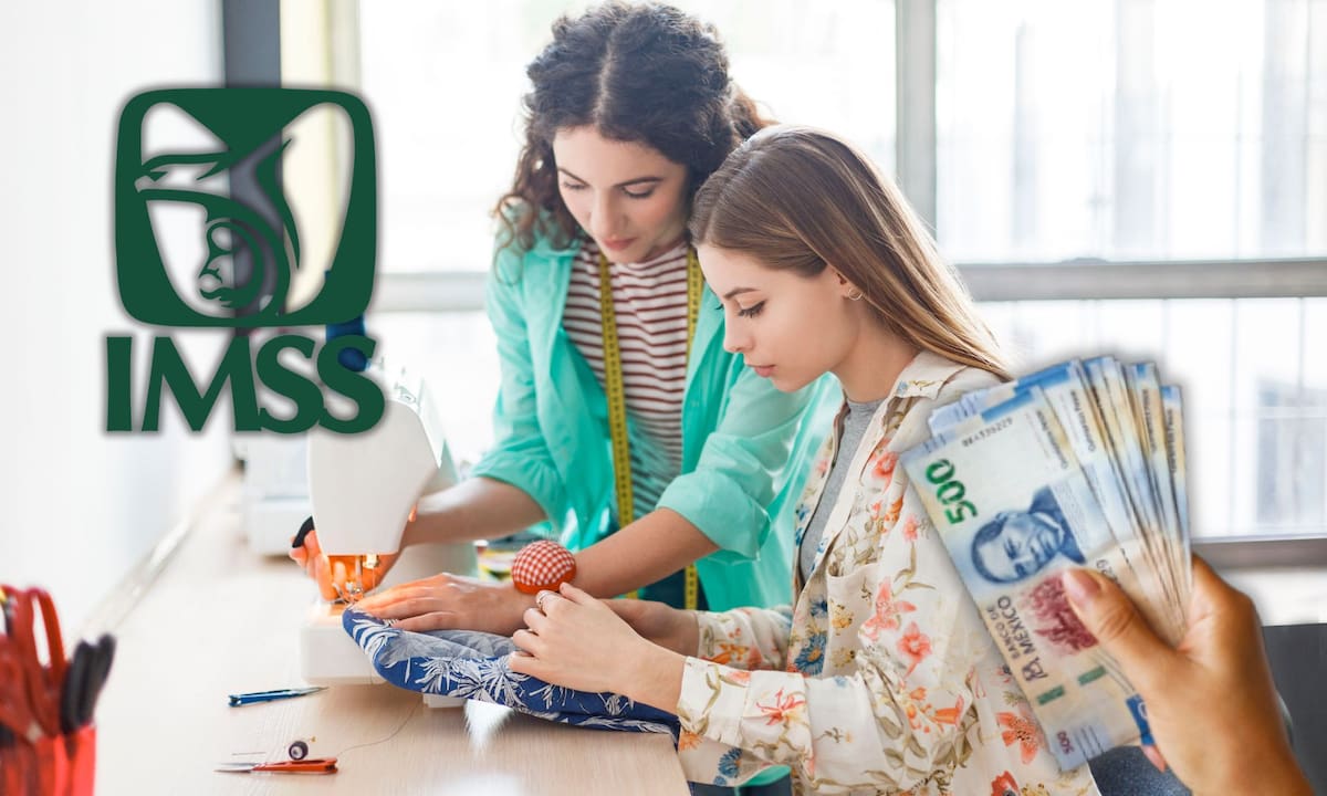 Jóvenes Construyendo el Futuro abre vinculaciones este 1 de abril de 2026 para 250 mil nuevos aprendices que recibirán un pago mensual de 9,582 pesos y seguro médico del IMSS | Freepik