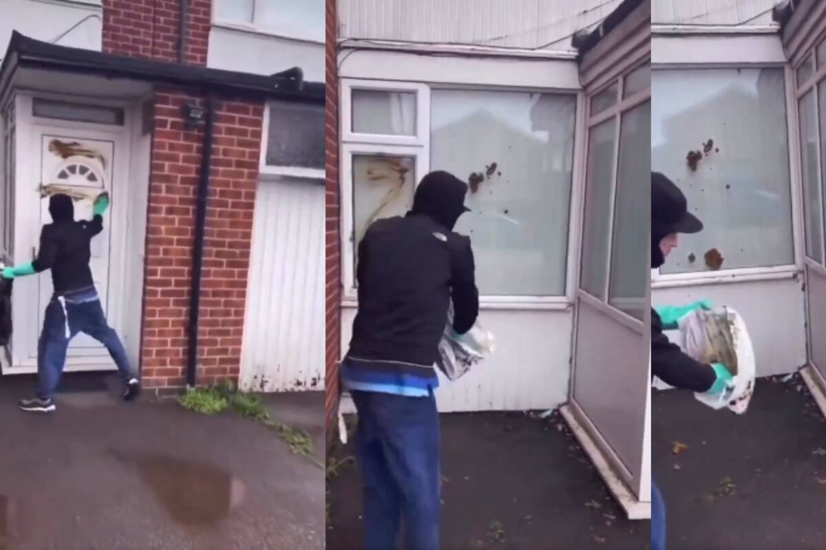 VIRAL: el perro de su vecino seguía haciendo sus necesidades en su jardín, por lo que decide vengarse de esta forma