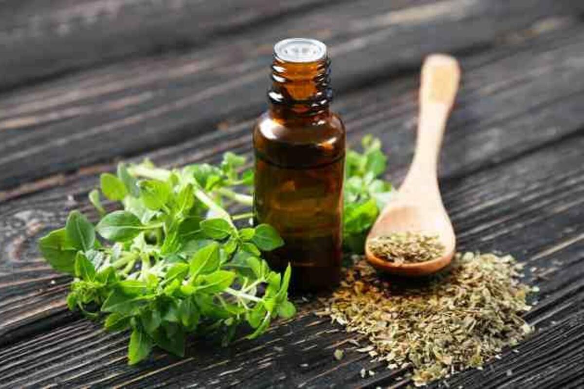 Estos son los beneficios del aceite de orégano