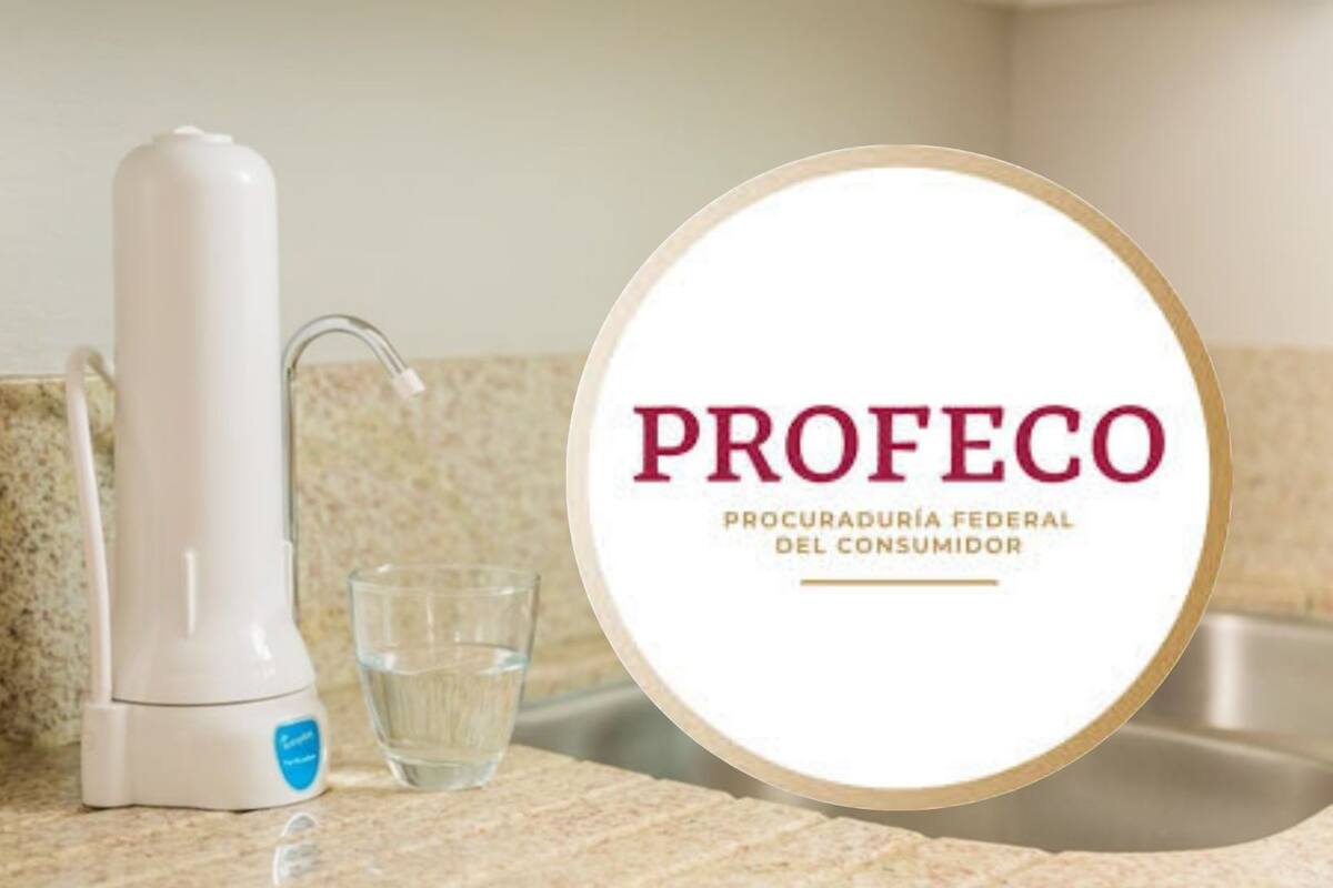 Estas 3 purificadoras no eliminan todas las bacterias: Profeco