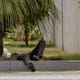 Joven de 25 años muere por golpe de calor en Mexicali; fue encontrado tendido en la calle