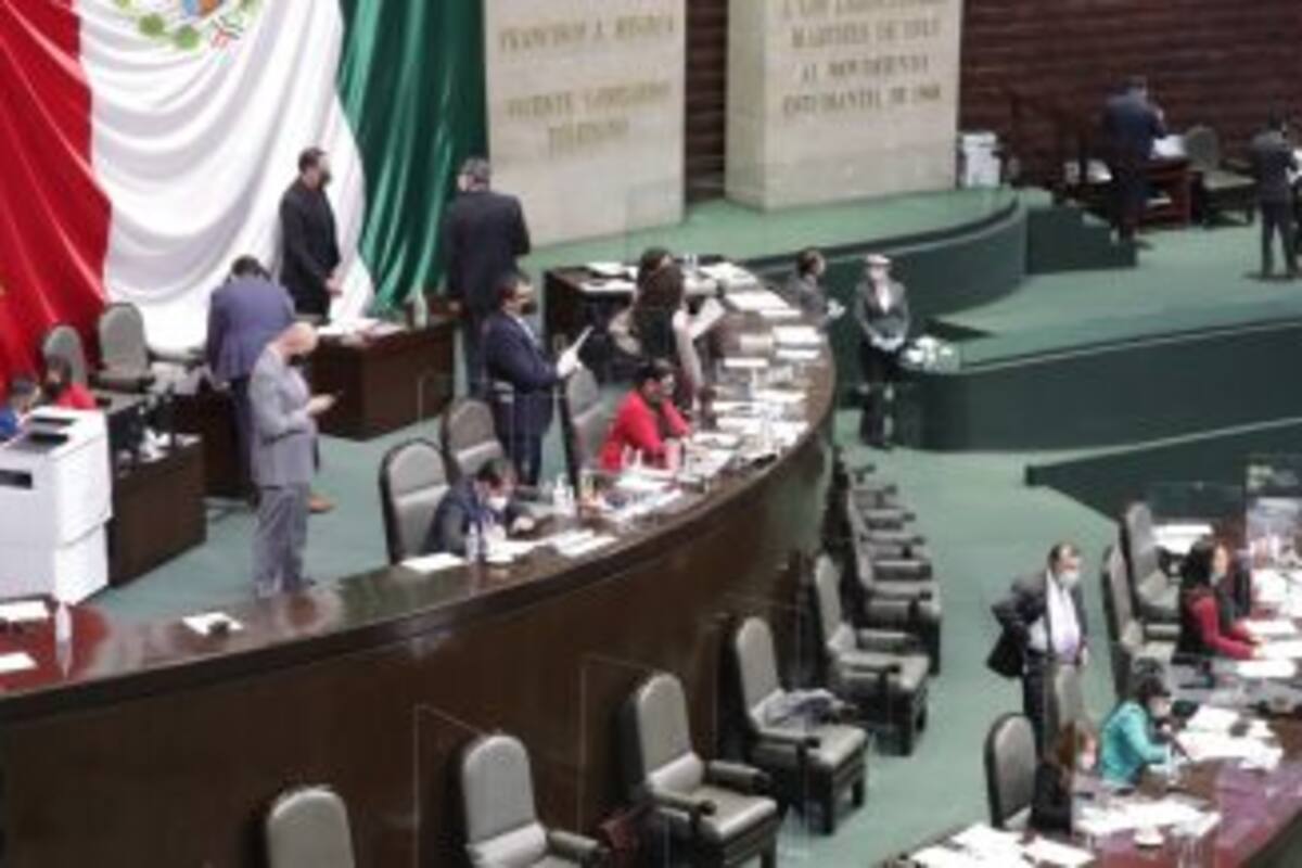 Organismos autónomos, los más golpeados en el Presupuesto de Egresos de la Federación