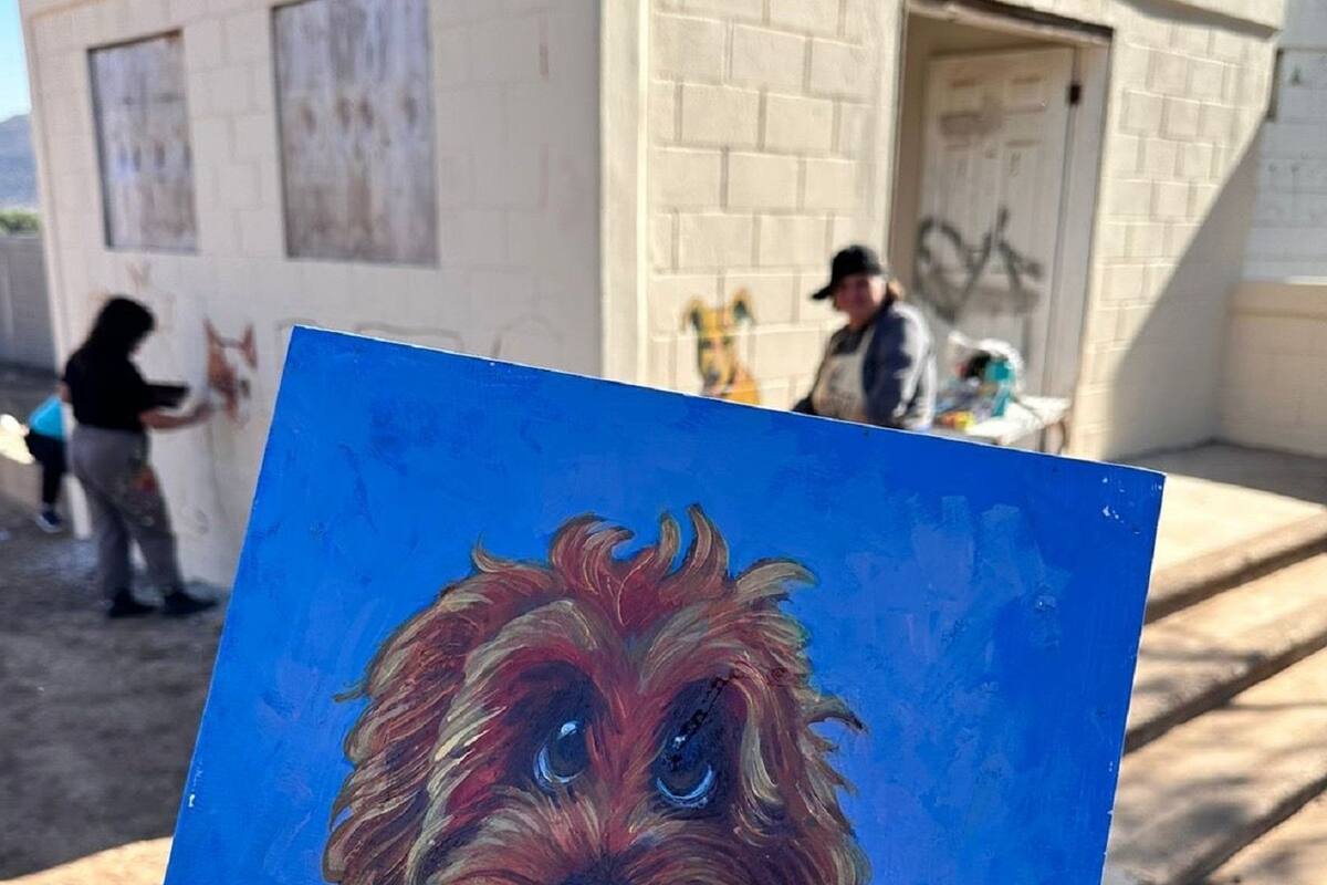 Buscan rehabilitar perrera municipal de Rosarito