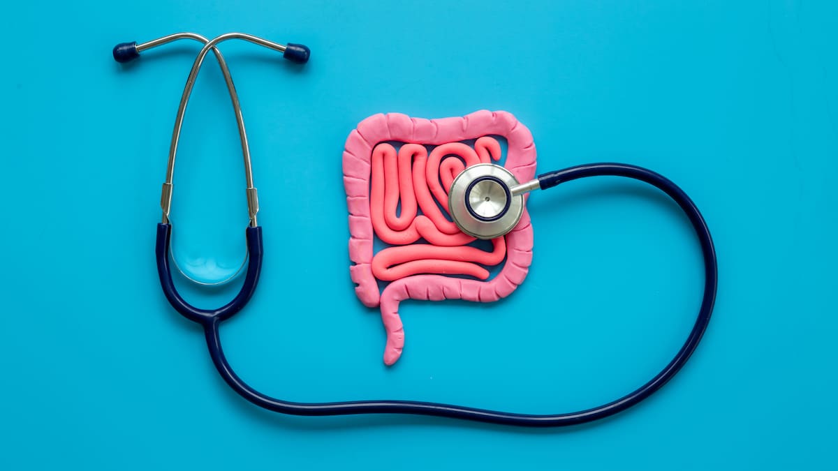 Viajar puede afectar la salud intestinal debido al estrés, la deshidratación y la falta de movimiento/Foto: Canva