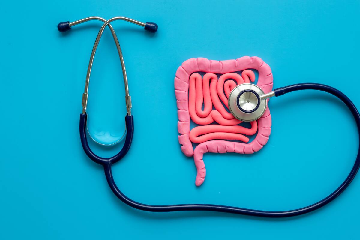 ¿Cómo evitarte problemas digestivos al viajar? Esto recomienda un doctor