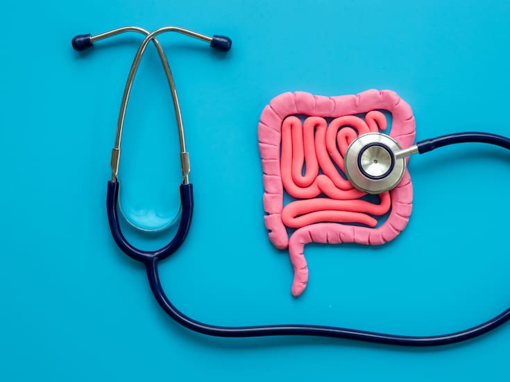 Divertículos en el intestino: cómo se forman con el paso de los años, qué hábitos los favorecen y qué señales no deben ignorarse