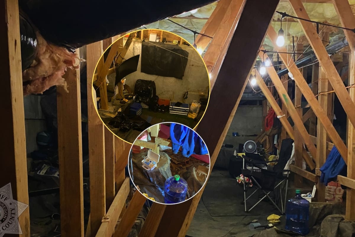 Hombre escuchaba ruidos extraños en su propiedad, pero luego descubrió que había un extraño viviendo bajo su casa, con conexión eléctrica, cama y hasta un Xbox en su “guarida”