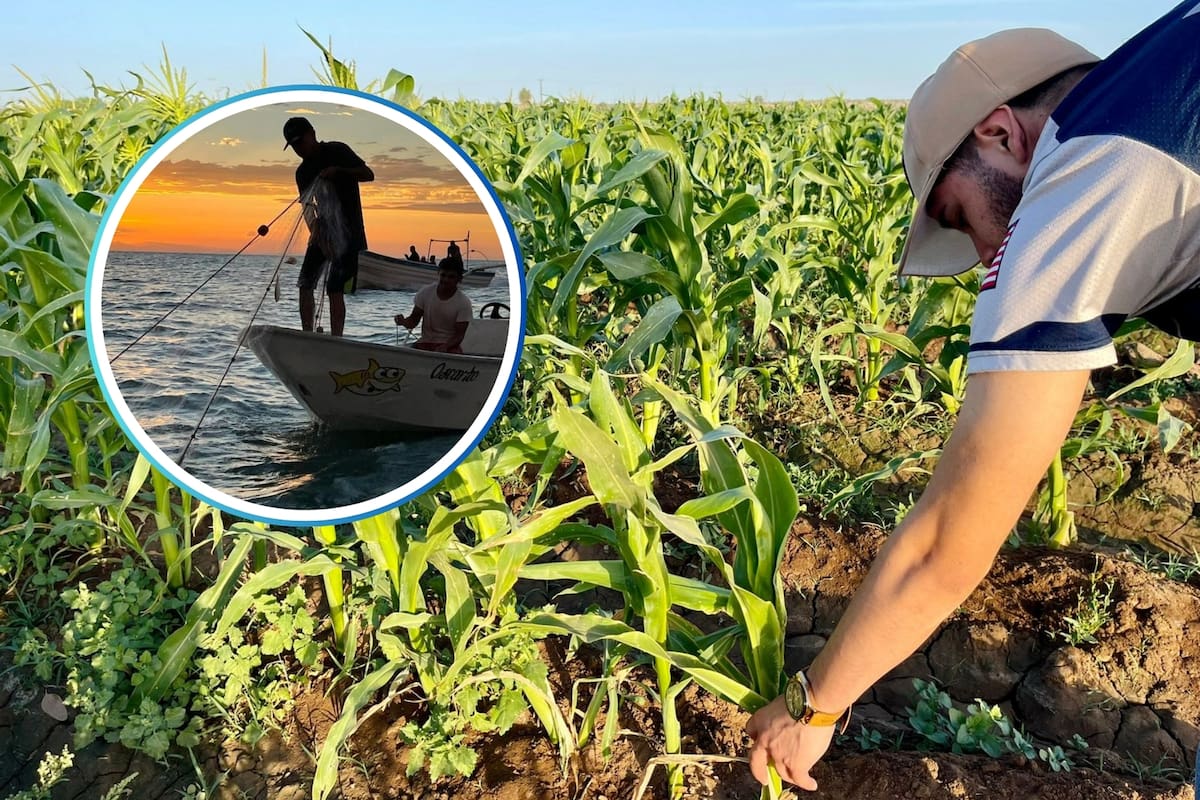 Solicitan aumento presupuestal para agricultura y pesca de BC